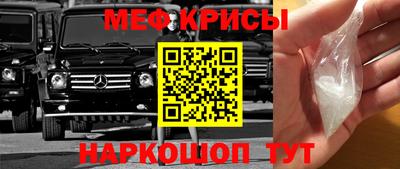 молекула духа Кингисепп