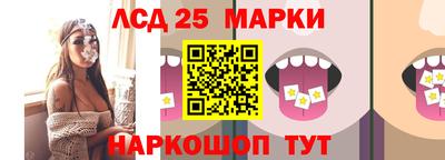 молекула духа Кингисепп