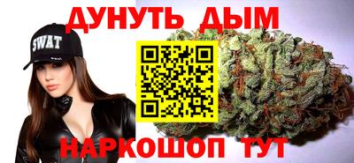 молекула духа Кингисепп