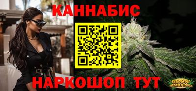 молекула духа Кингисепп