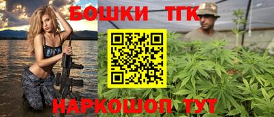 молекула духа Кингисепп