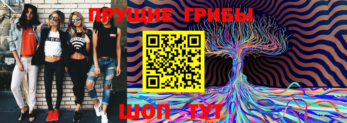 Псилоцибиновые грибы Cubensis Кудымкар
